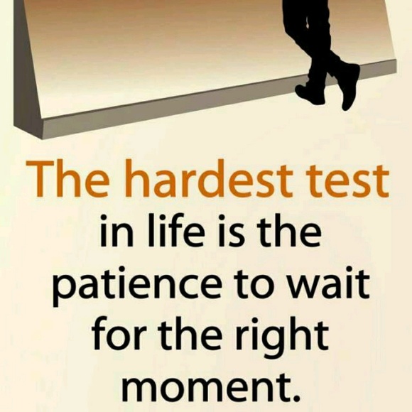 Meet your Posher, Bev - Picture 1 of 1